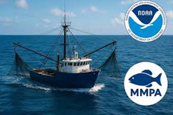 Thông báo của Hoa Kỳ về các lệnh cấm nhập khẩu thủy sản theo các quy định