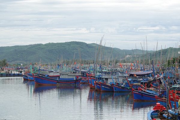 Thủ tướng yêu cầu 4 địa phương kiểm điểm trách nhiệm liên quan đến tàu cá vi phạm vùng biển nước ngoài