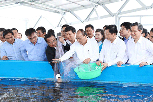 Bac Lieu province invested VND 520 billion to build a Hi-tech Agricultural Zone for shrimp industry