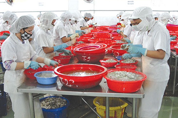 Bình Thuận: Sản xuất thủy sản thích ứng an toàn, linh hoạt, kiểm soát hiệu quả dịch COVID-19