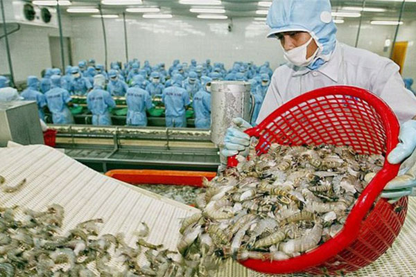 Tiêu thụ thủy hải sản toàn thế giới tăng 3,1%