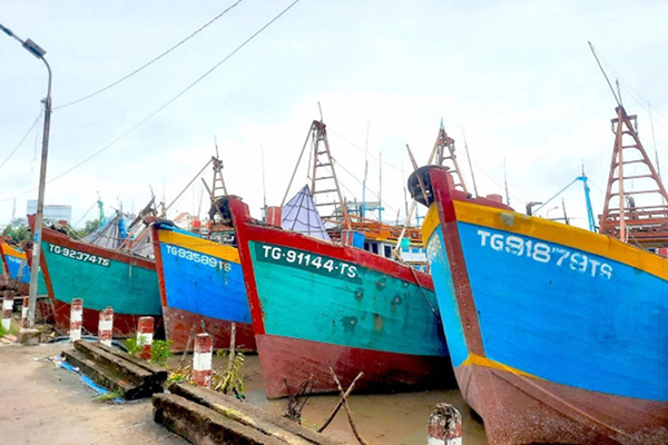 Tiền Giang: Kiên quyết ngăn chặn tàu cá vi phạm quy định về chống khai thác IUU
