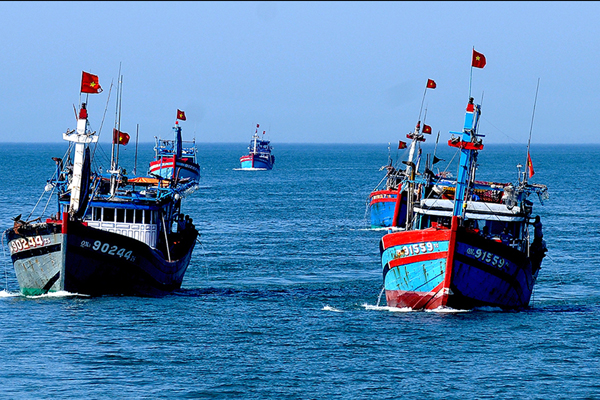 Thương mại thủy sản và quản lý nghề cá hướng đến phát triển bền vững
