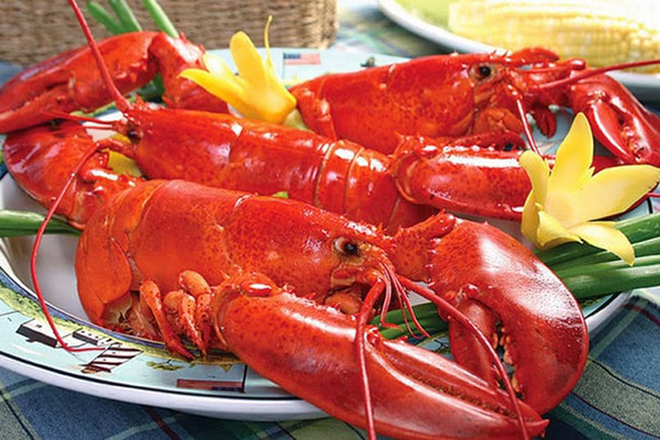 Tôm hùm Canada chịu ảnh hưởng nặng từ thuế quan của Trung Quốc