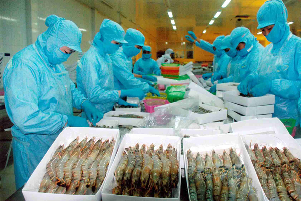 Bộ Công thương gửi công thư đề nghị Chính phủ Úc sớm bãi bỏ lệnh tạm ngừng nhập khẩu tôm và thịt tôm chưa nấu chín