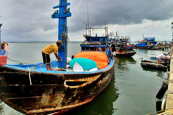Tổng rà soát số liệu tàu cá để điều chỉnh giấy phép khai thác thủy sản