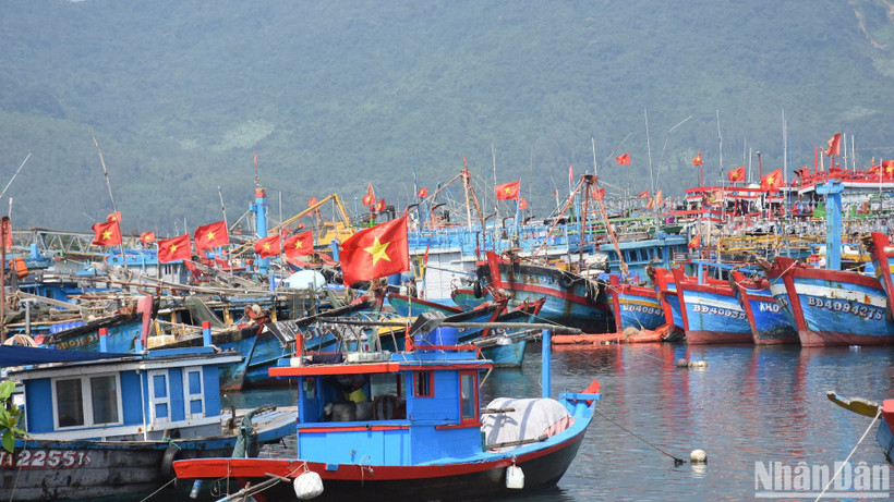 Tập trung quản lý, giám sát chặt chẽ hoạt động tàu cá tại địa phương