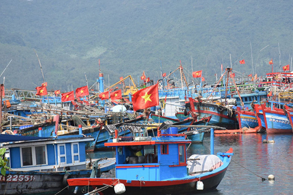 Tập trung quản lý, giám sát chặt chẽ hoạt động tàu cá tại địa phương