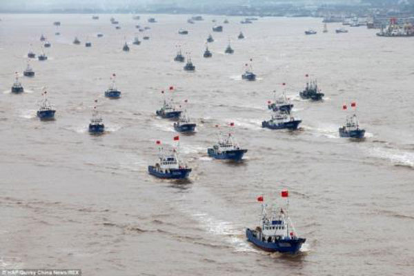 Lệnh cấm đánh bắt hàng năm của Trung Quốc bắt đầu được thực hiện, giá thủy sản dự báo tăng