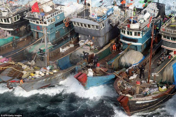 GAA, IFFO nhằm mục tiêu truyền thông cho người tiêu dùng để ngăn chặn hoạt động đánh bắt cá bất hợp pháp của Trung Quốc