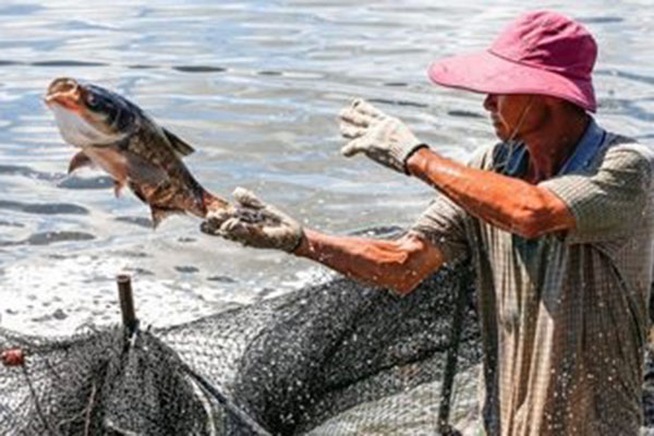 Trung Quốc phát triển mạnh ngành Thủy sản