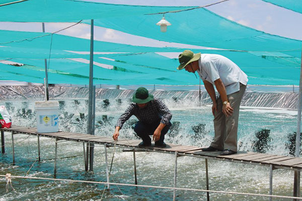 Thủy sản Việt Nam: Hướng đến phát triển bền vững