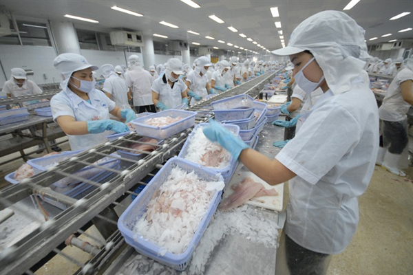 Làm thế nào để khai thác thị trường thủy sản của Trung Quốc