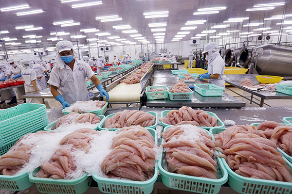 Vai trò của các Bộ, ngành, địa phương trong việc đưa Việt Nam vào danh sách 5 quốc gia hàng đầu thế giới về chế biến thủy sản