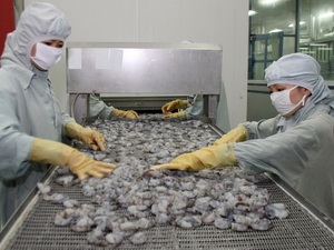 For the goal of US $ 4.2 billion of shrimp export