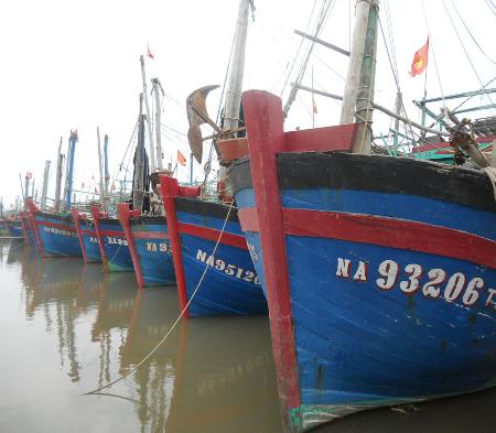 Thực trạng vi phạm pháp luật nghề cá năm 2015 tại Nghệ An