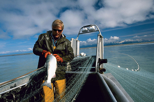 Xây dựng chỉ số quản lý nghề cá dựa trên ngư cụ (GFMI) cho nghề cá ven bờ và xa bờ tại Hàn Quốc