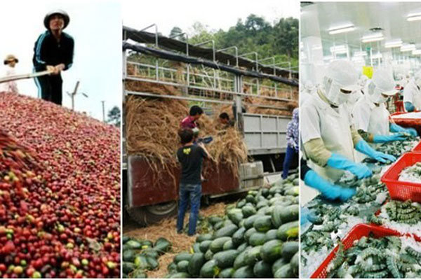 Kim ngạch xuất khẩu nông lâm thuỷ sản 2 tháng đầu năm 2019 đạt 5,5 tỷ USD