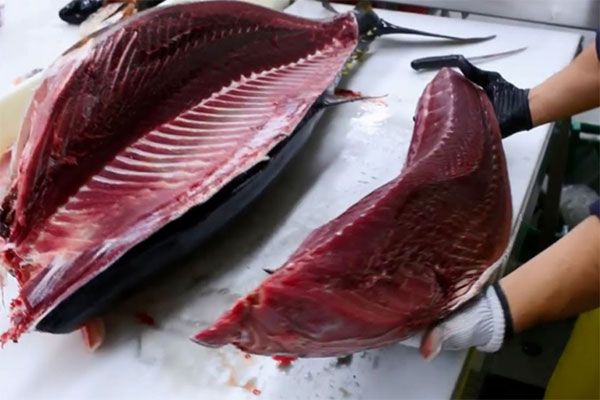 Xuất khẩu cá ngừ của Ecuador sang EU giảm trong bối cảnh giá cao hơn