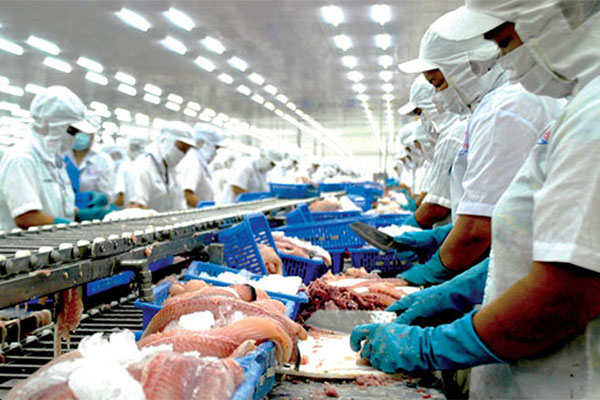 Food Safety Control Program for Fish Products and Siluriformes Fish Exports to United State Market