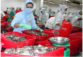 Vietnamese seafood export in the first five months of 2018 reaching US $ 3.11 billion