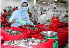 Seafood export: Aiming at US$ 10 billion target