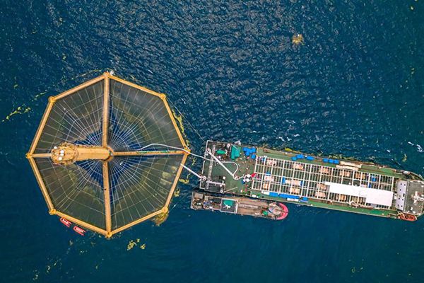 Xu thế chuyển dịch nuôi trồng thủy sản ra nước ngoài của Trung Quốc