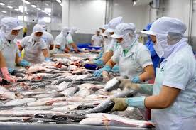 Xuất khẩu cá rô phi toàn cầu gặp khó khăn do đại dịch