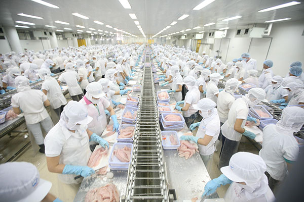 Xuất khẩu thủy sản Việt Nam sang thị trường Đài Loan