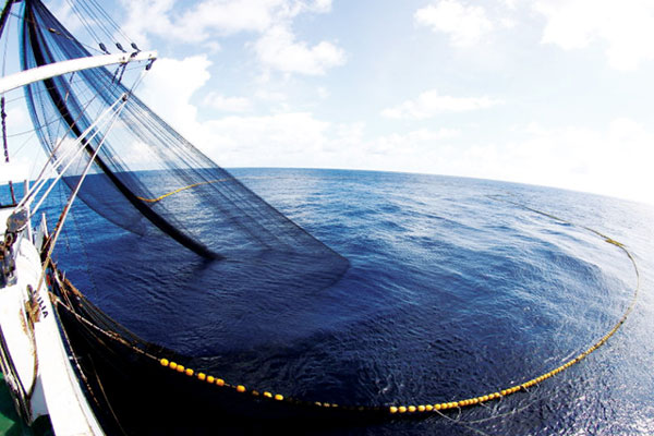 Quản lý các nghề cá sử dụng các thiết bị dẫn dụ cá FAD để đáp ứng các tiêu chí bền vững